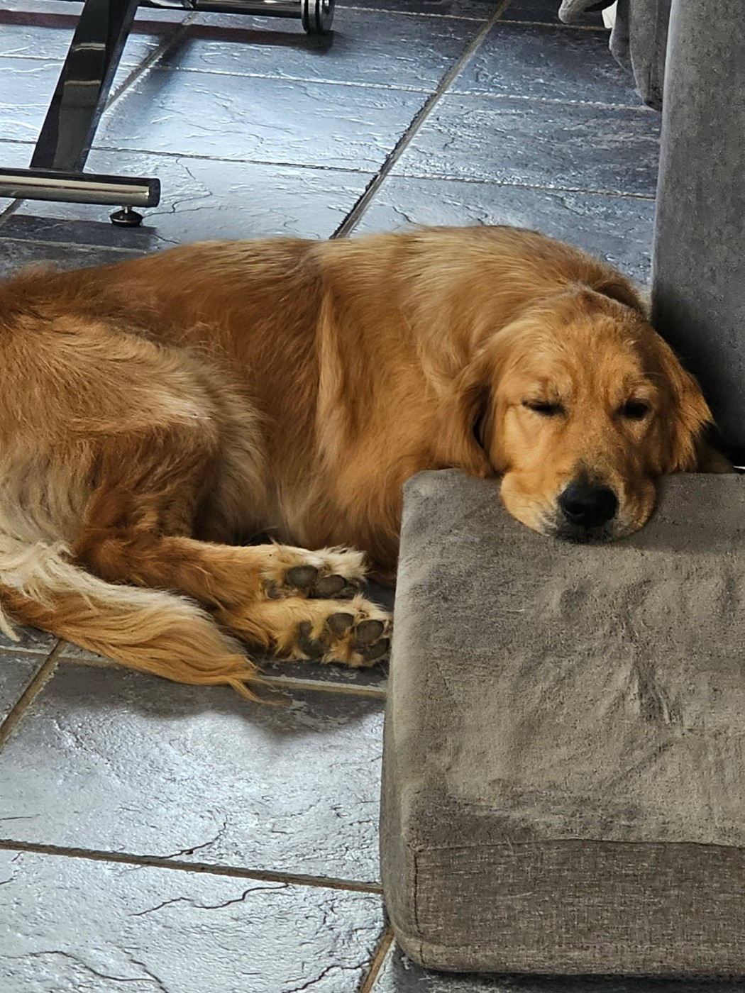 Déméter L'Orée De Lexenna